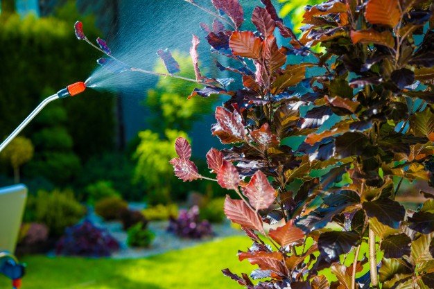 garden-pest-control-spray